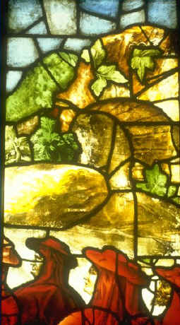 cardinals